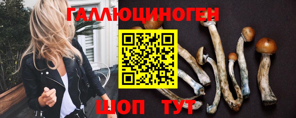 Галлюциногенные грибы GOLDEN TEACHER  Вход с VPN  где можно купить   Кизляр 